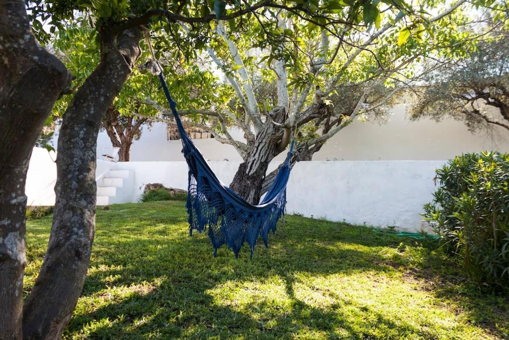 Horta Das Laranjas Serpa Extérieur photo