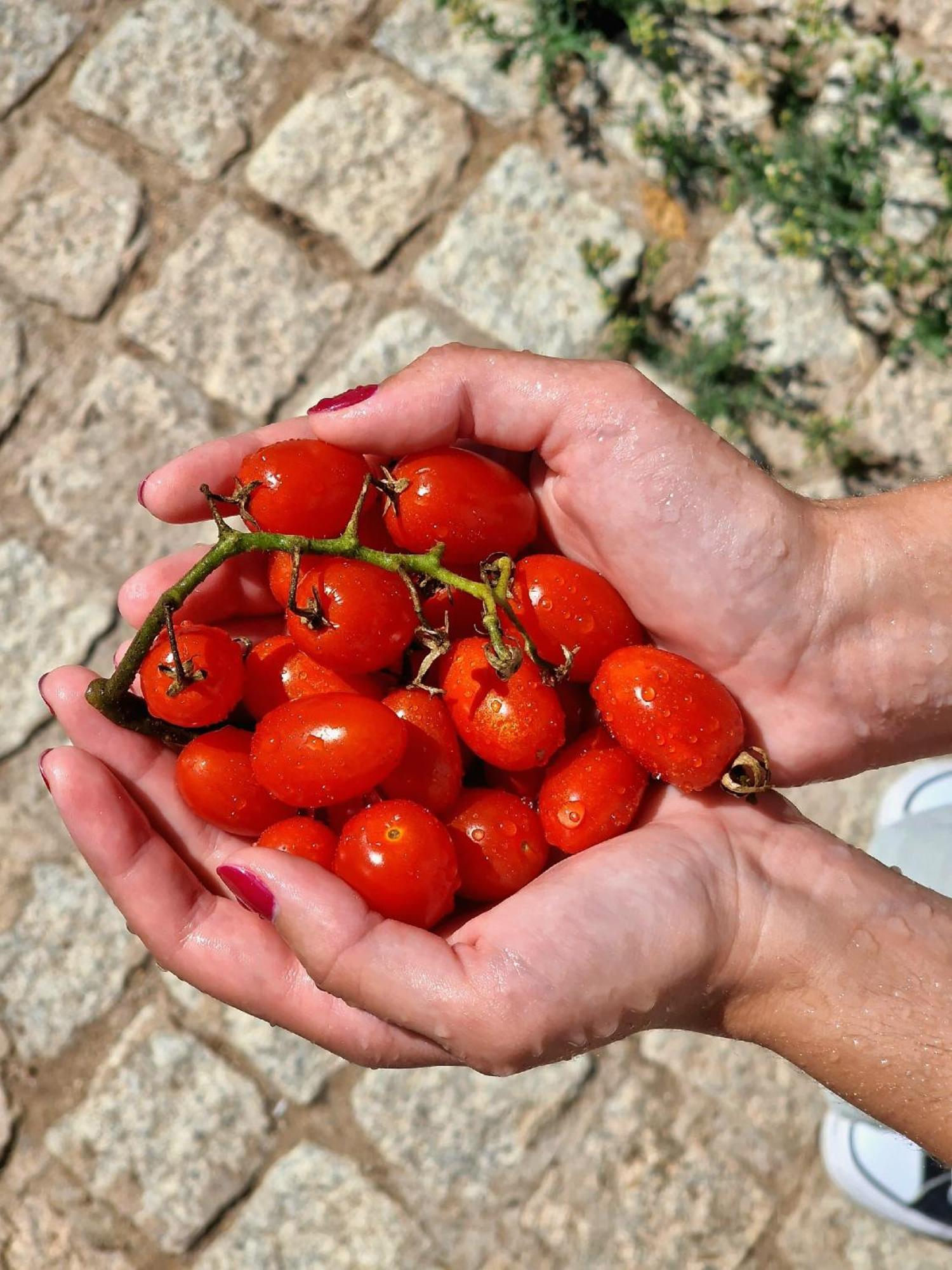 Horta Das Laranjas Serpa Extérieur photo